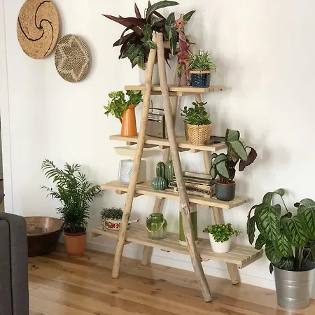 Fauna & Flora * リスボン