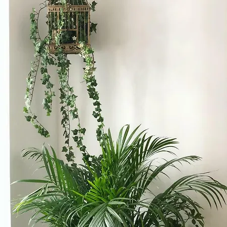 Διαμέρισμα Fauna & Flora *